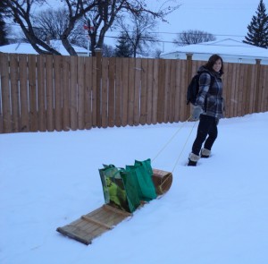 A Toboggan