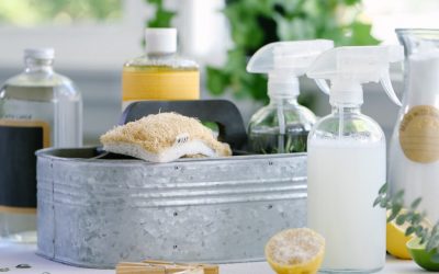 Greener Cleaning Products