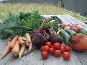 LGLW- food market veggies