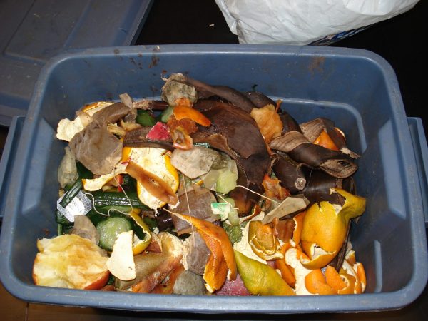 Untold tales from the compost hotline
