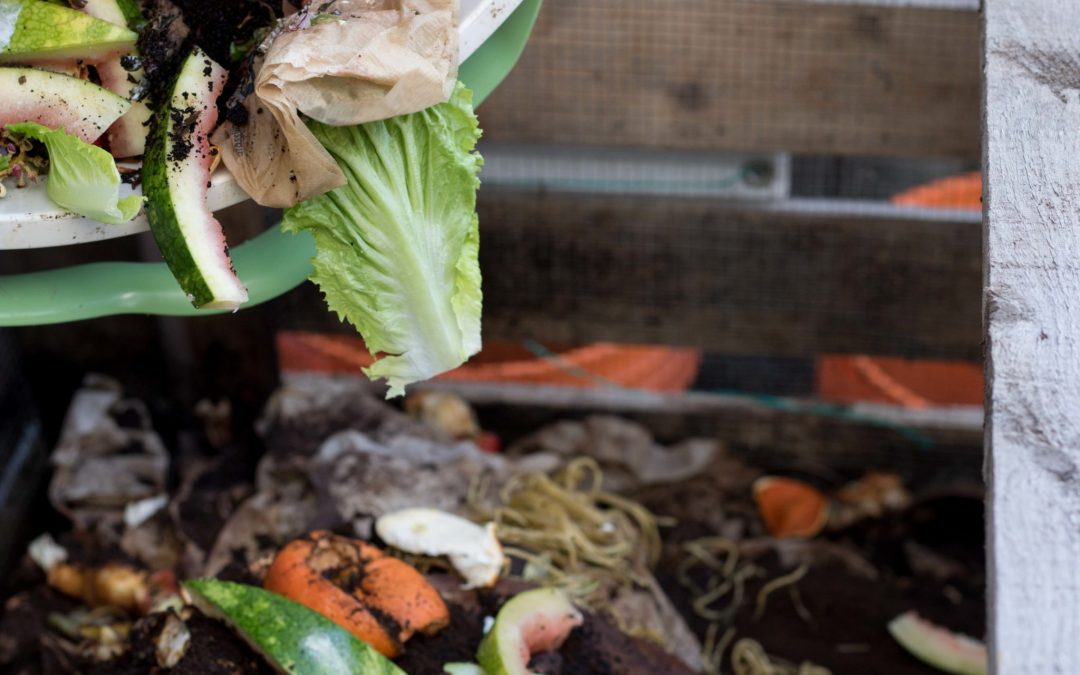 Learn about Composting