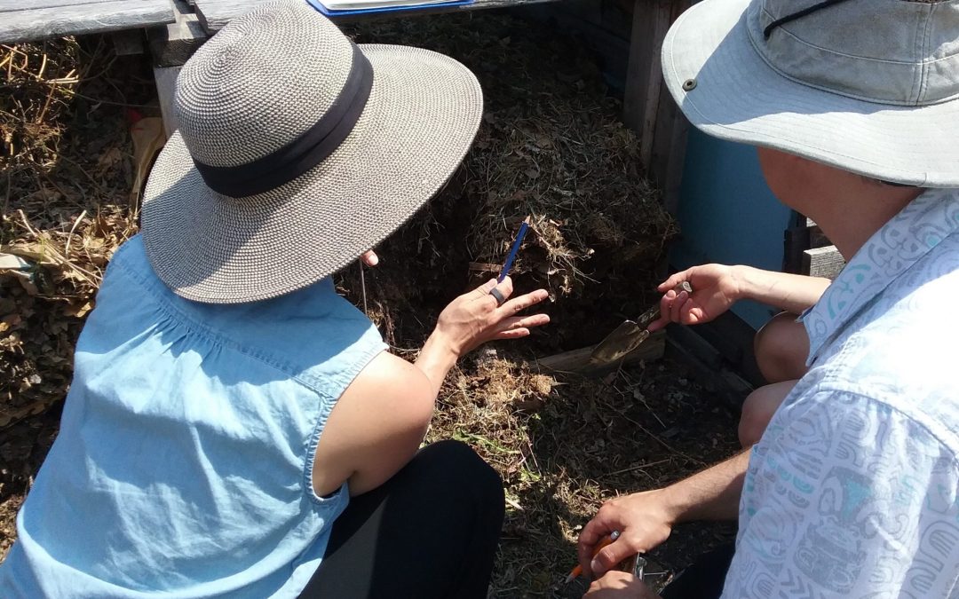 Become a Master Composter Volunteer!