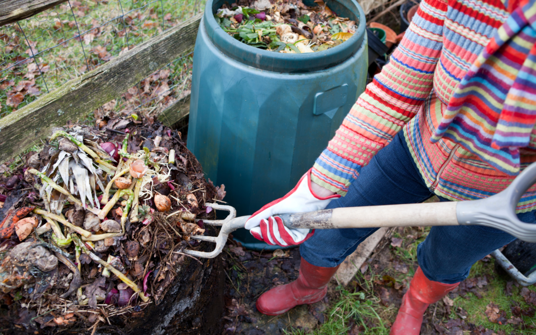 Harvesting & Using Your Compost