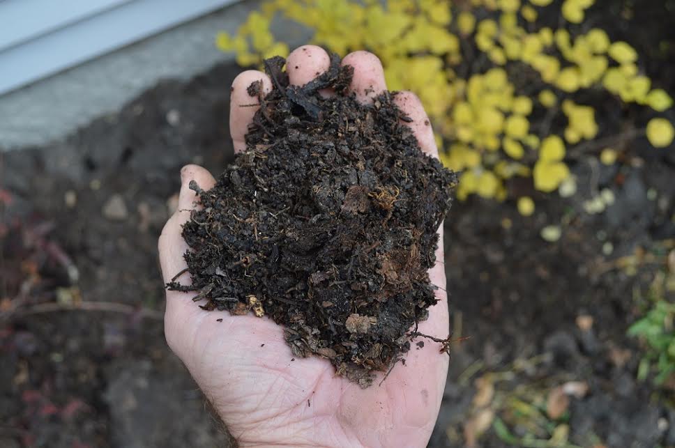 Is it better to harvest your compost in Spring or Fall?