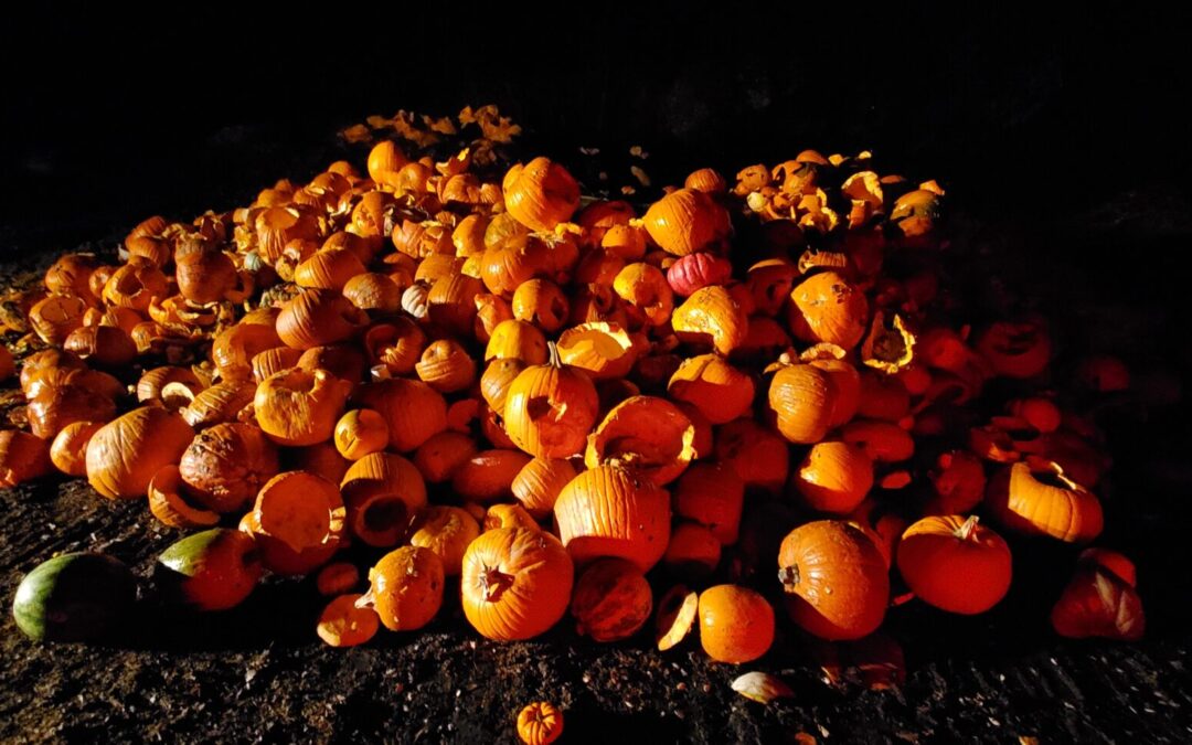 The 1st Annual Pumpkin Drop was a HUGE success!