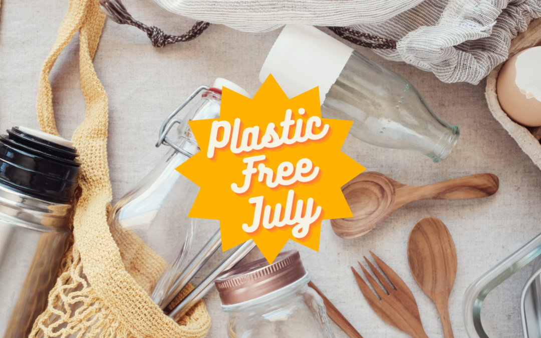 Plastic Free July 2023