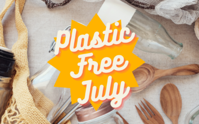 Plastic Free July 2024