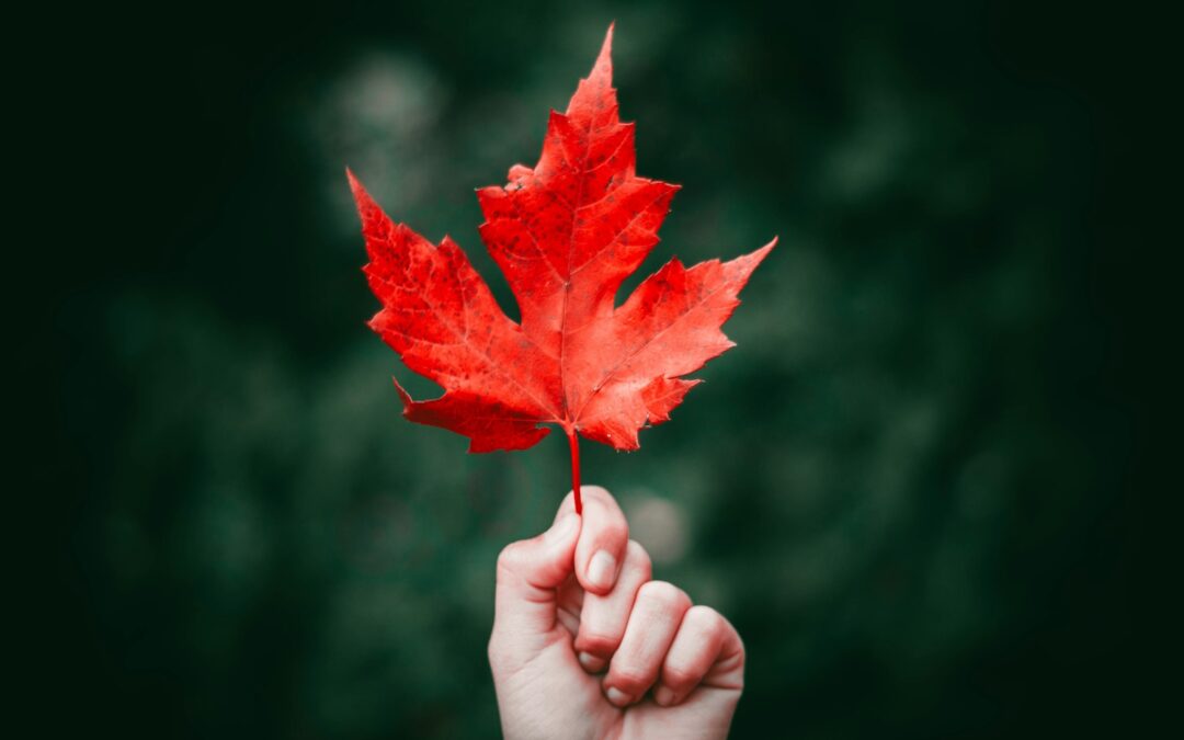 Picture of a hand holding an autumn maple leaf.