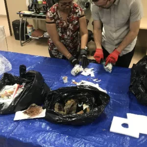 people wearing gloves reviewing waste and recyclables