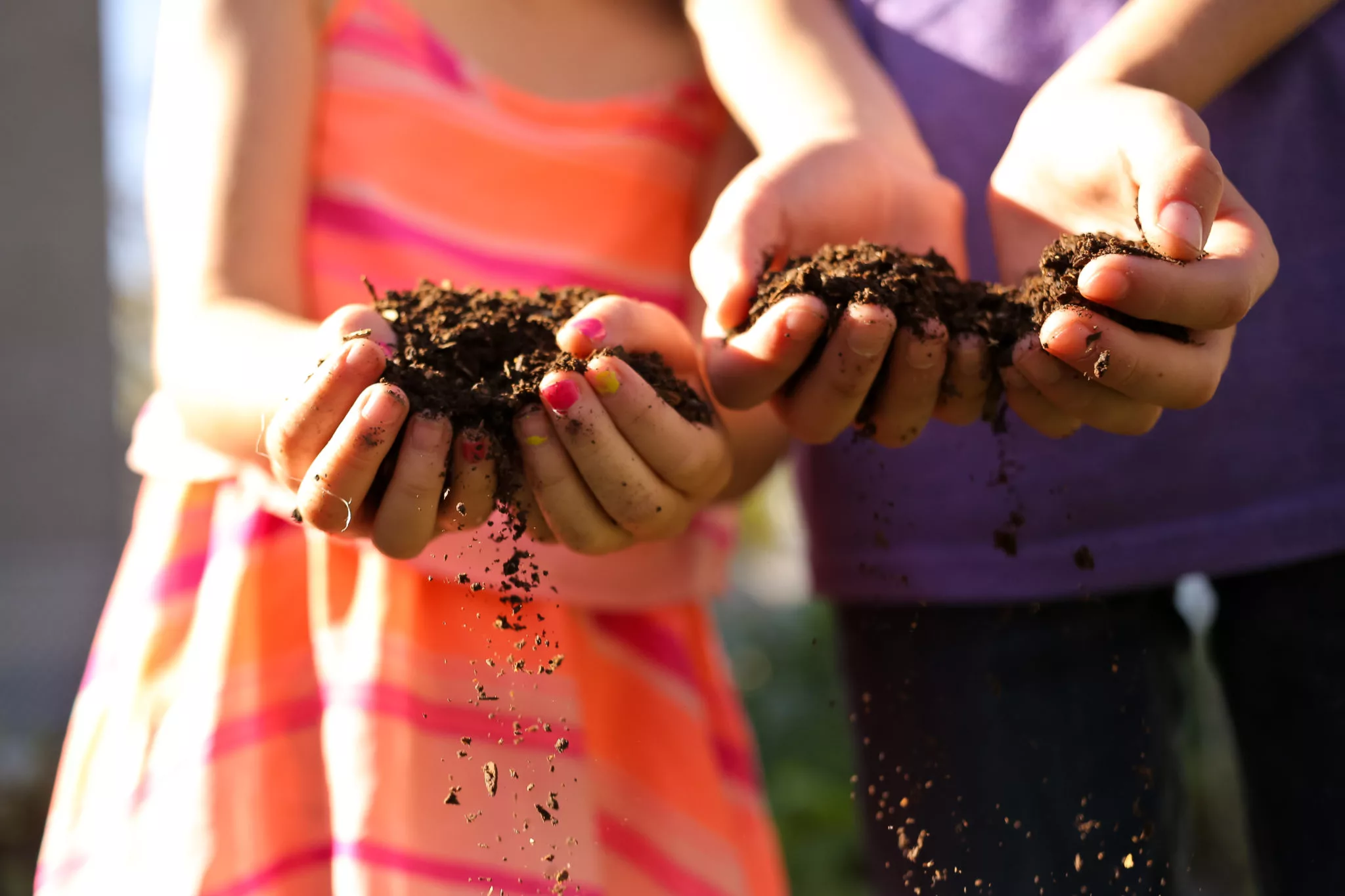 close up of children's hands holding compost