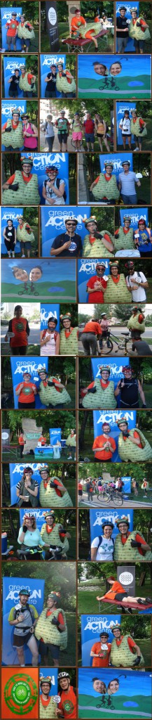 BTWD 2013 pit stop collage