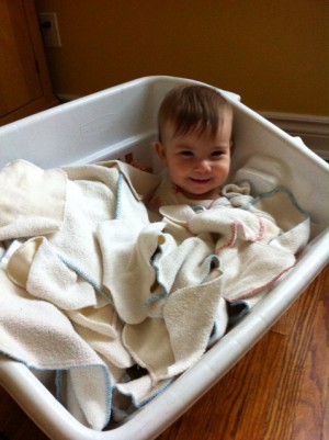 Nola in the laundry bin