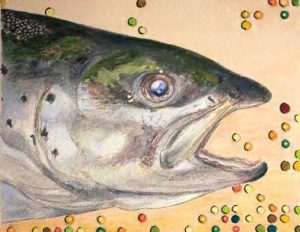 Genetically engineered fish head