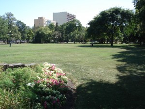 gardens and food trucks 016