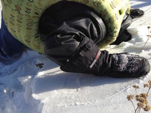 photo(31)
