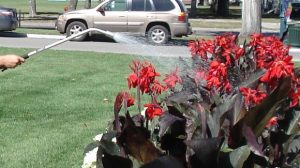 Watering the legislative garden