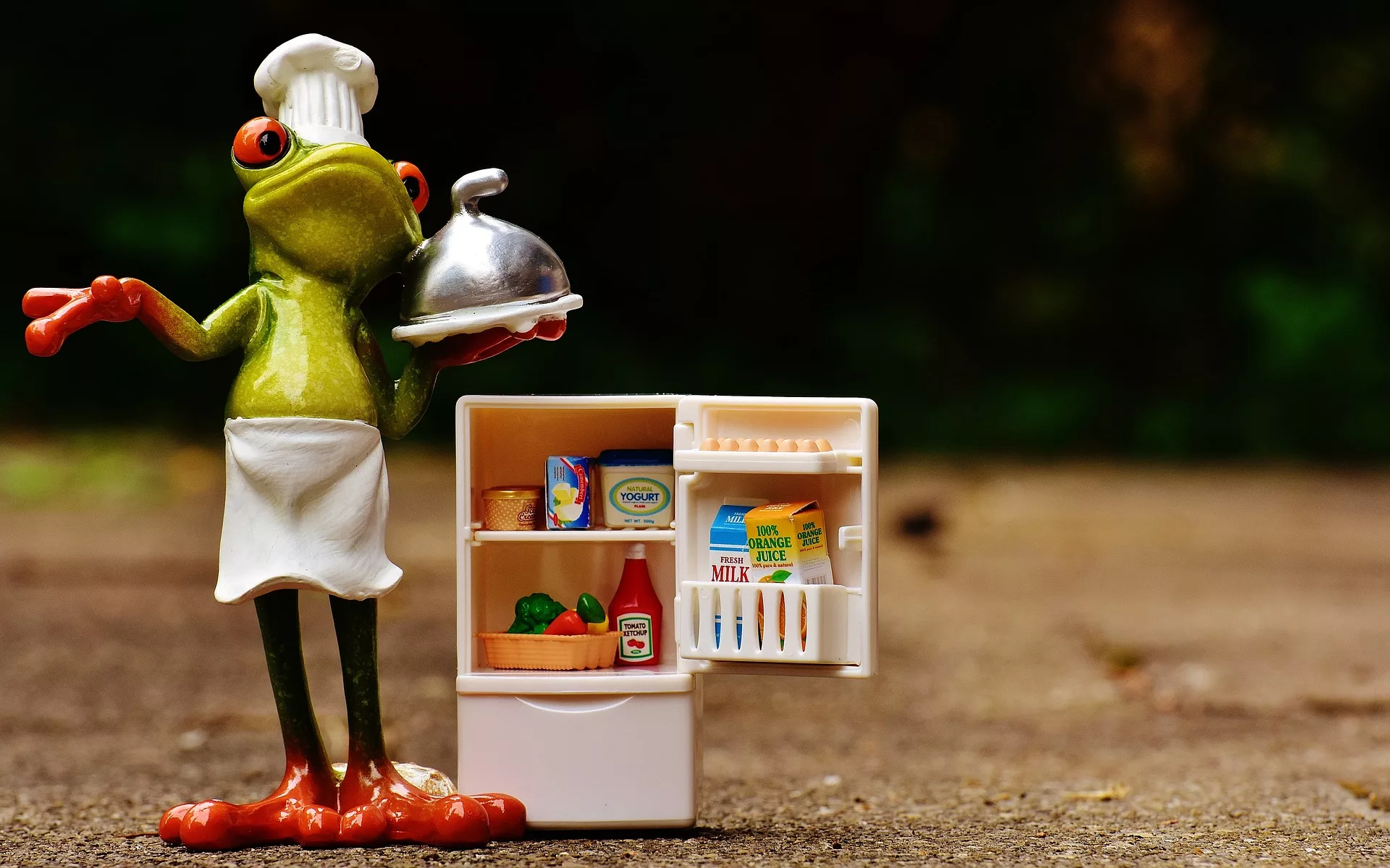 figurine of a frog standing in from of a toy refrigerator