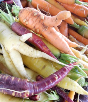 Misshapen carrots are just as tasty!