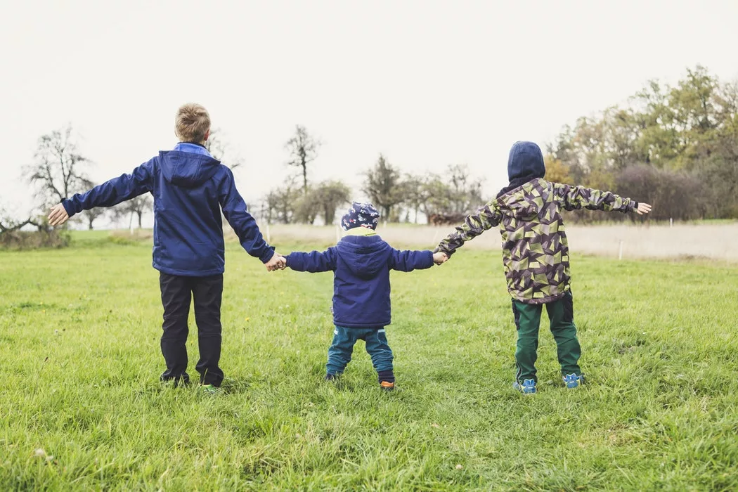 three children, all different heights, are holding hands in a field facing away from the viewer