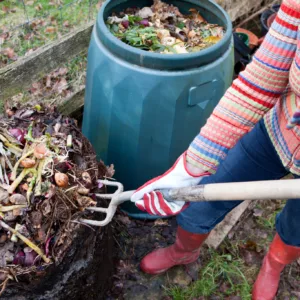 compost