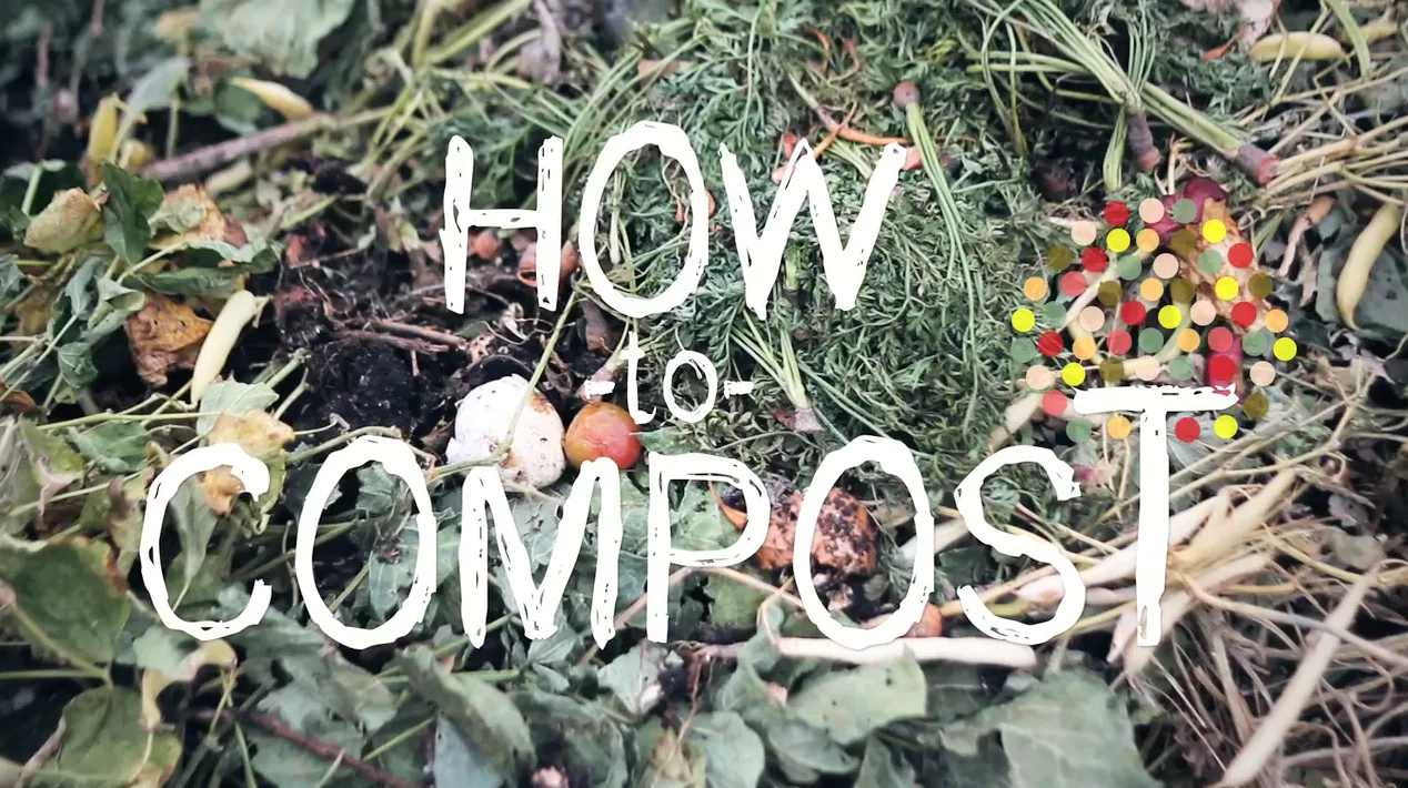 How to Compost