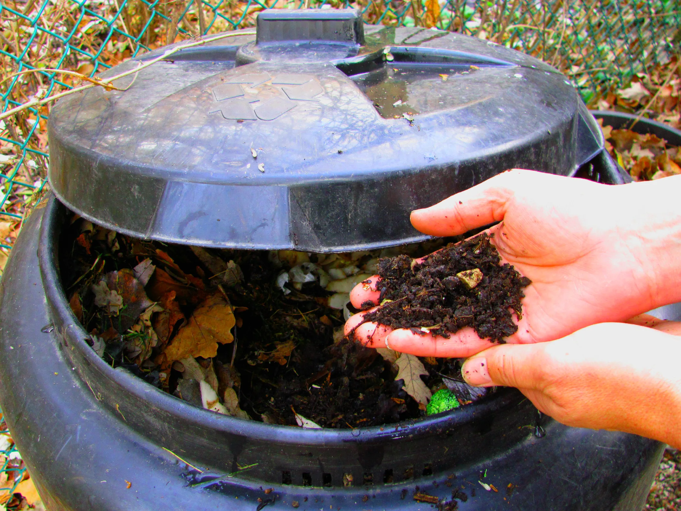 a hand scooping finished compost out of a bin